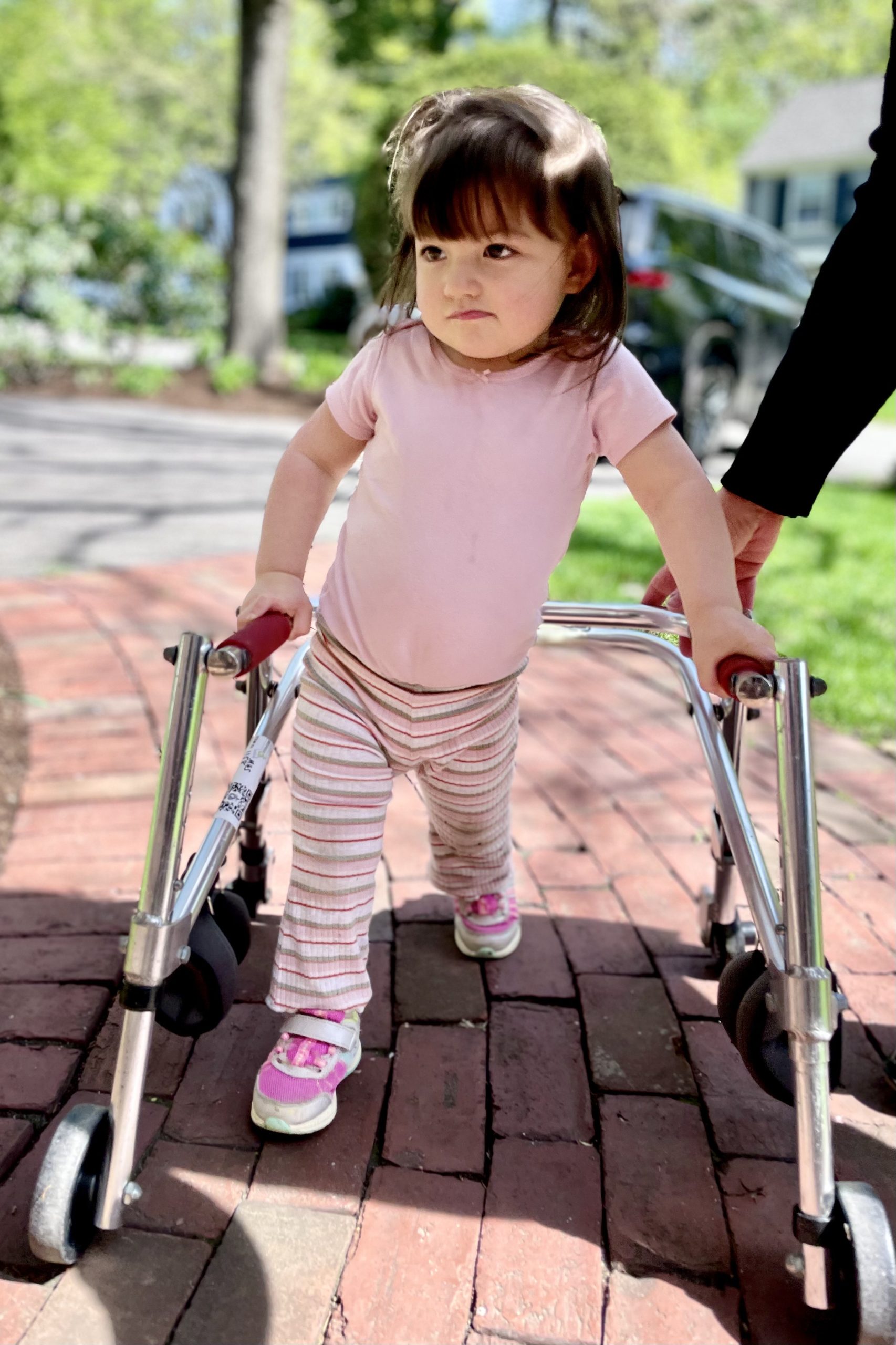 A child striding with support from her posterior walker on a brick path in the sunshine.